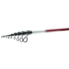 Daiwa Prut Ninja X Bolo 4 m 25 g